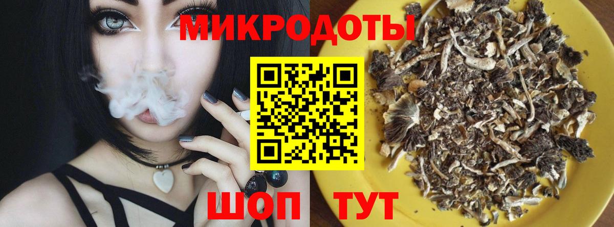 Псилоцибиновые грибы Psilocybe Ульяновск