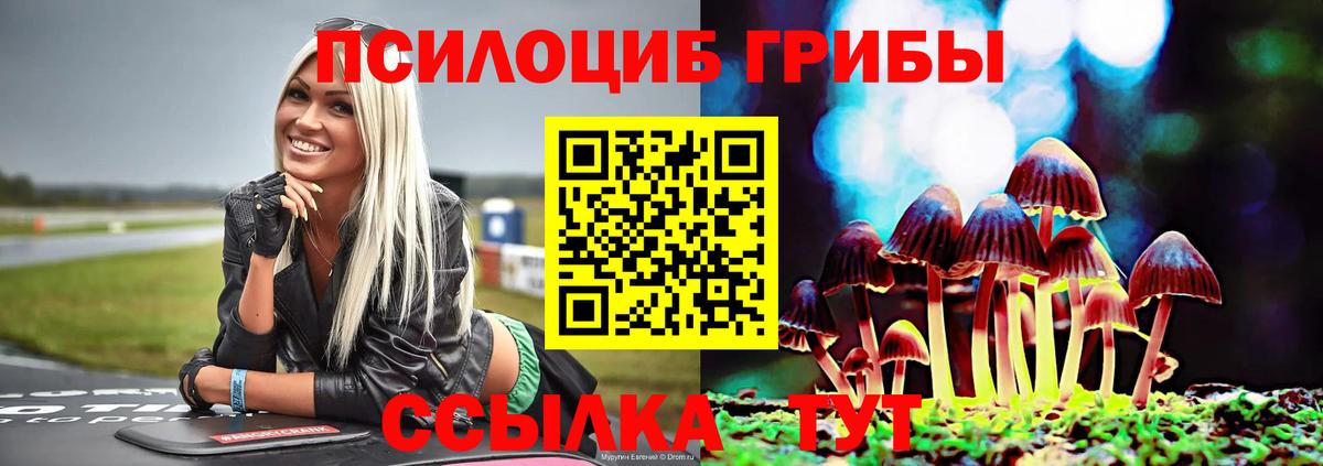 Ульяновск  Псилоцибиновые грибы мицелий  Вход с VPN 