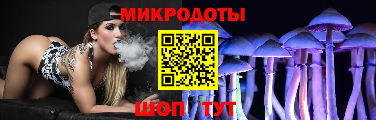 Галлюциногенные грибы Psilocybe  Ульяновск 